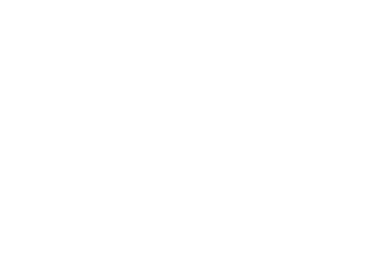 logo du cabinet plane, experts en courtage pour placements financiers, prêts immobiliers, audit pour le site